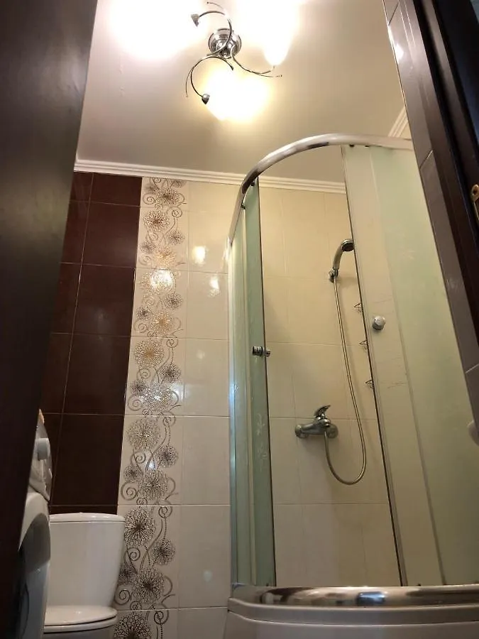 基輔Cosy Flat公寓 公寓 基輔
